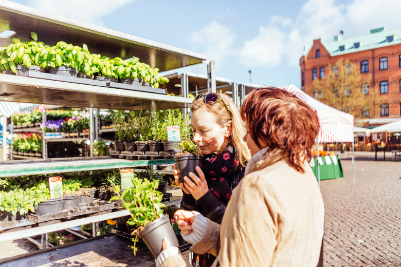 Friends enjoying a sunny day at the local plant market